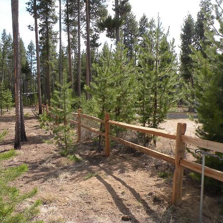 Cozy Cabin Lapine لا باين المظهر الخارجي الصورة