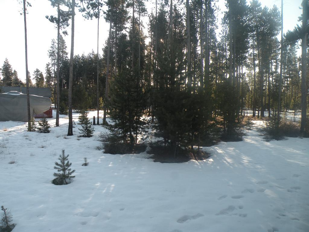 Cozy Cabin Lapine لا باين المظهر الخارجي الصورة