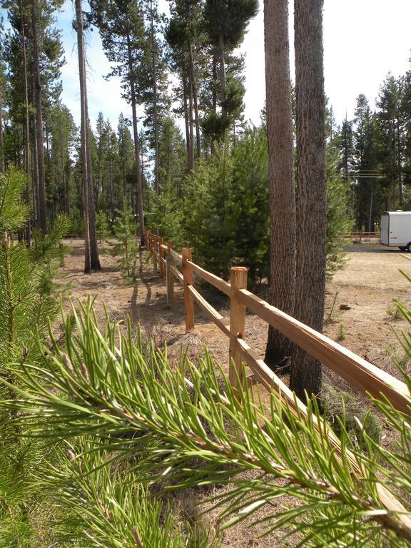 Cozy Cabin Lapine لا باين المظهر الخارجي الصورة