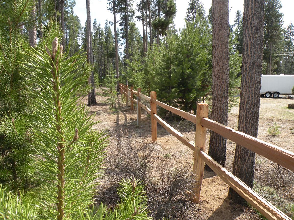 Cozy Cabin Lapine لا باين الغرفة الصورة