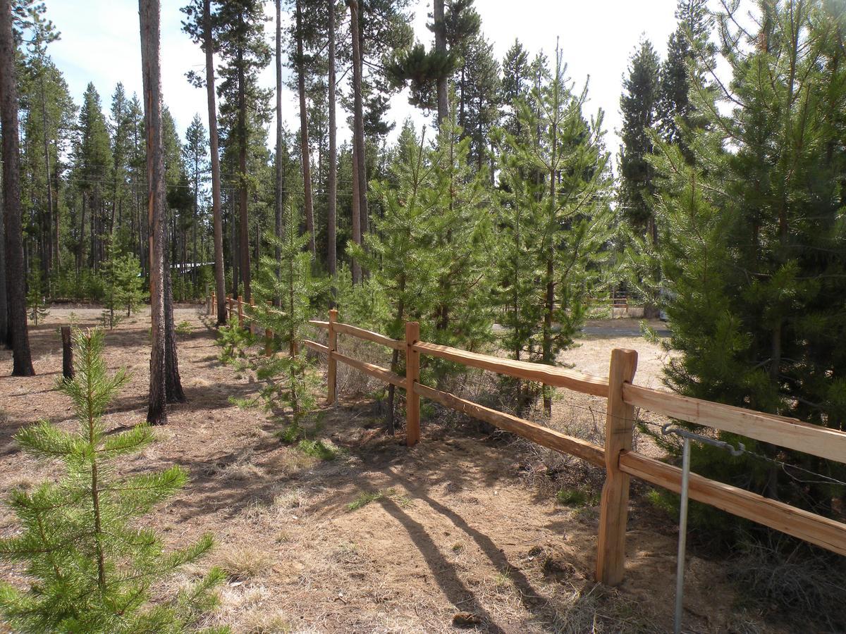 Cozy Cabin Lapine لا باين المظهر الخارجي الصورة